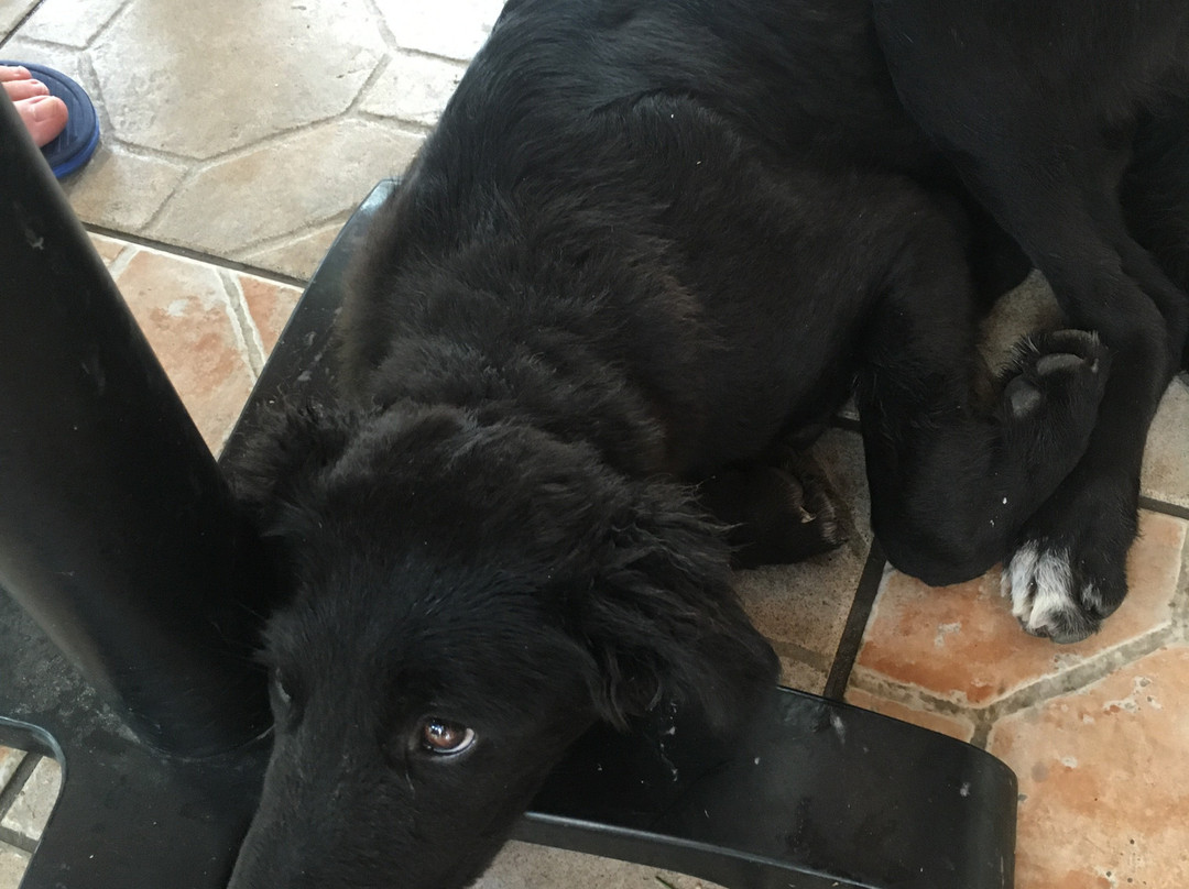 Divina Studios主图