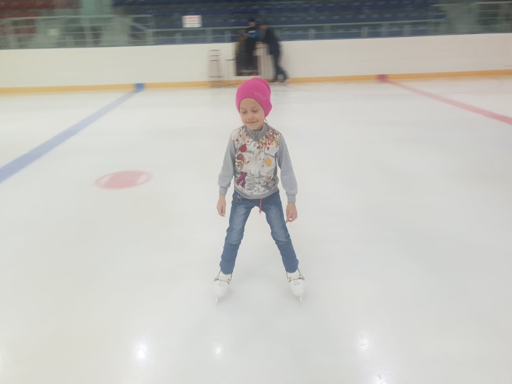 Indoor Ice Rink Vityaz-Strezhevoy必去景点