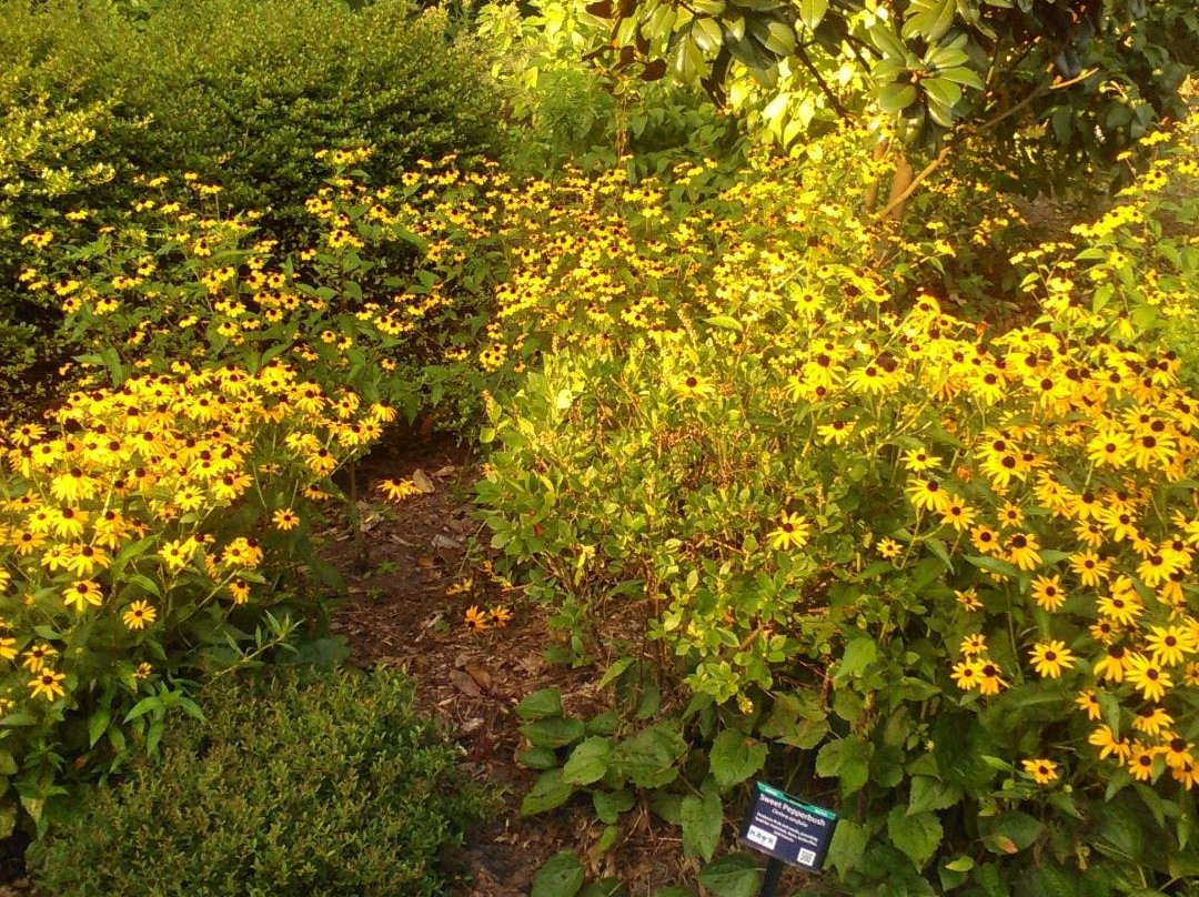 Squirrel Lake Park-马修斯必去景点