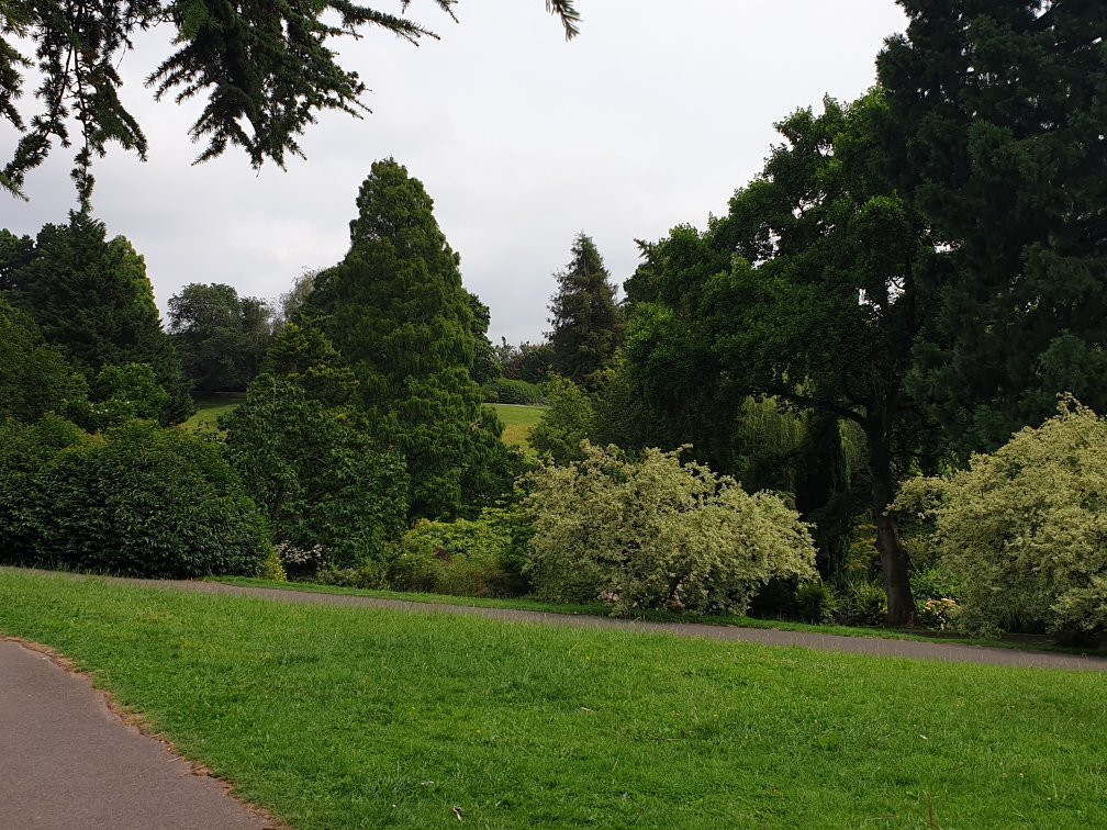 Belle Vue Park景点图片