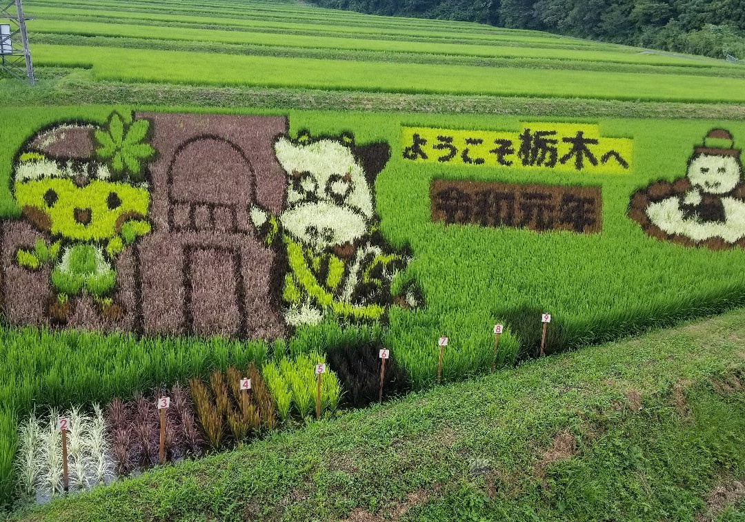 Yonoka Shiobara Michi-no-Eki-那须盐原市必去景点