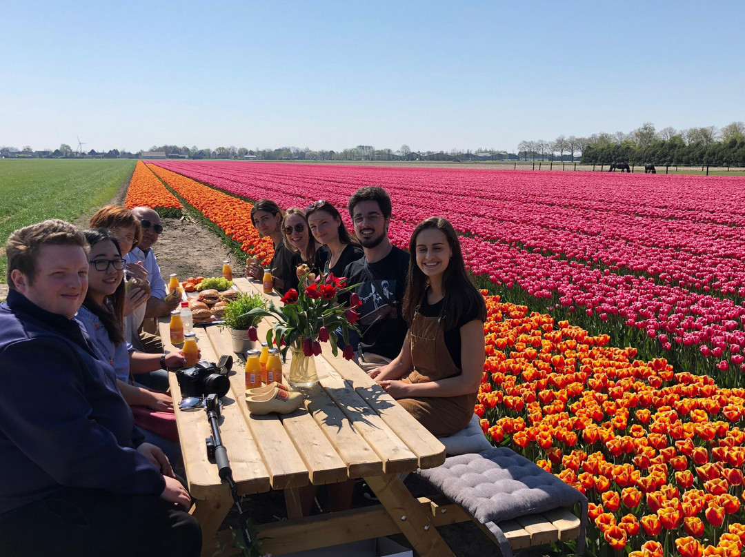 Tulip Tours Holland景点图片