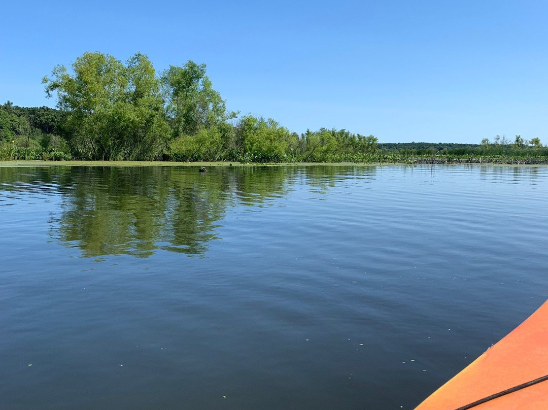 Running Rivers Paddle Board and Kayak Rentals-Day Rentals景点图片