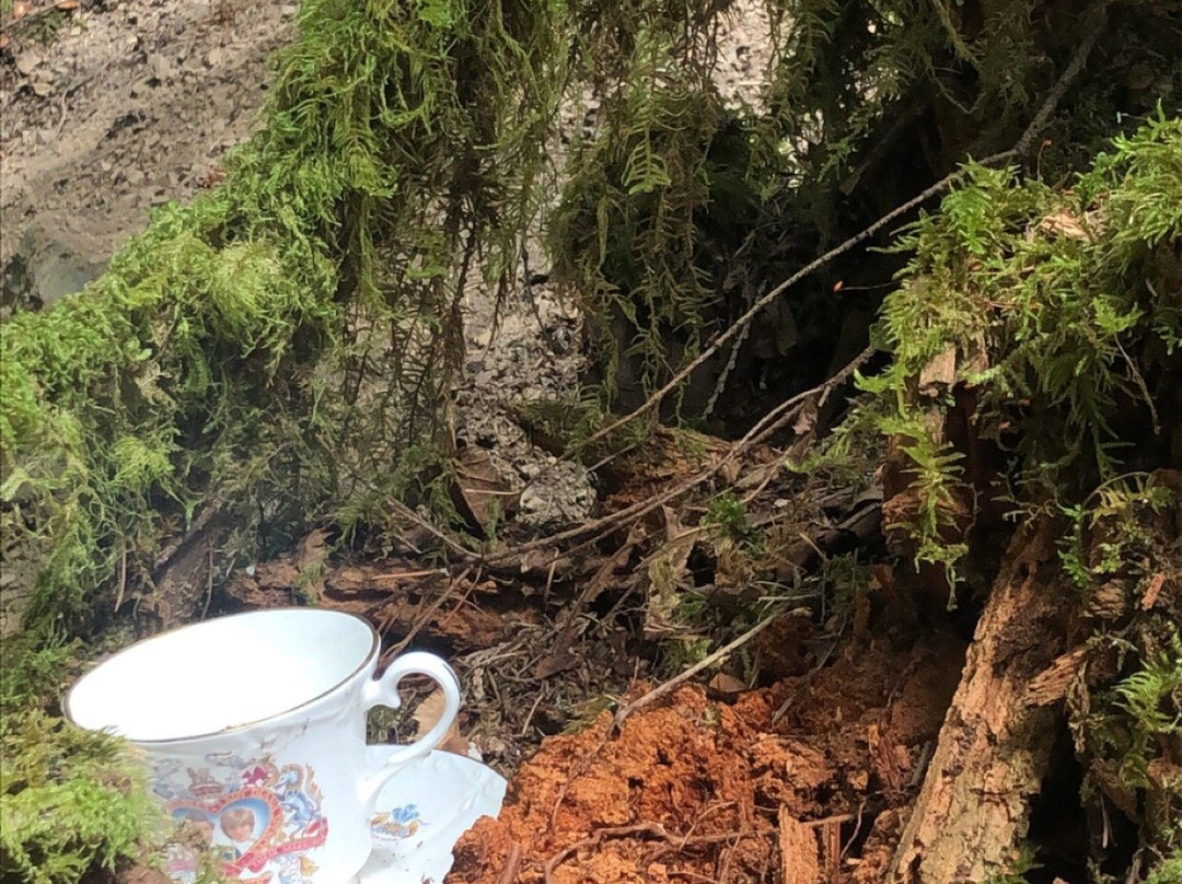 Teapot Hill-Cultus Lake必去景点