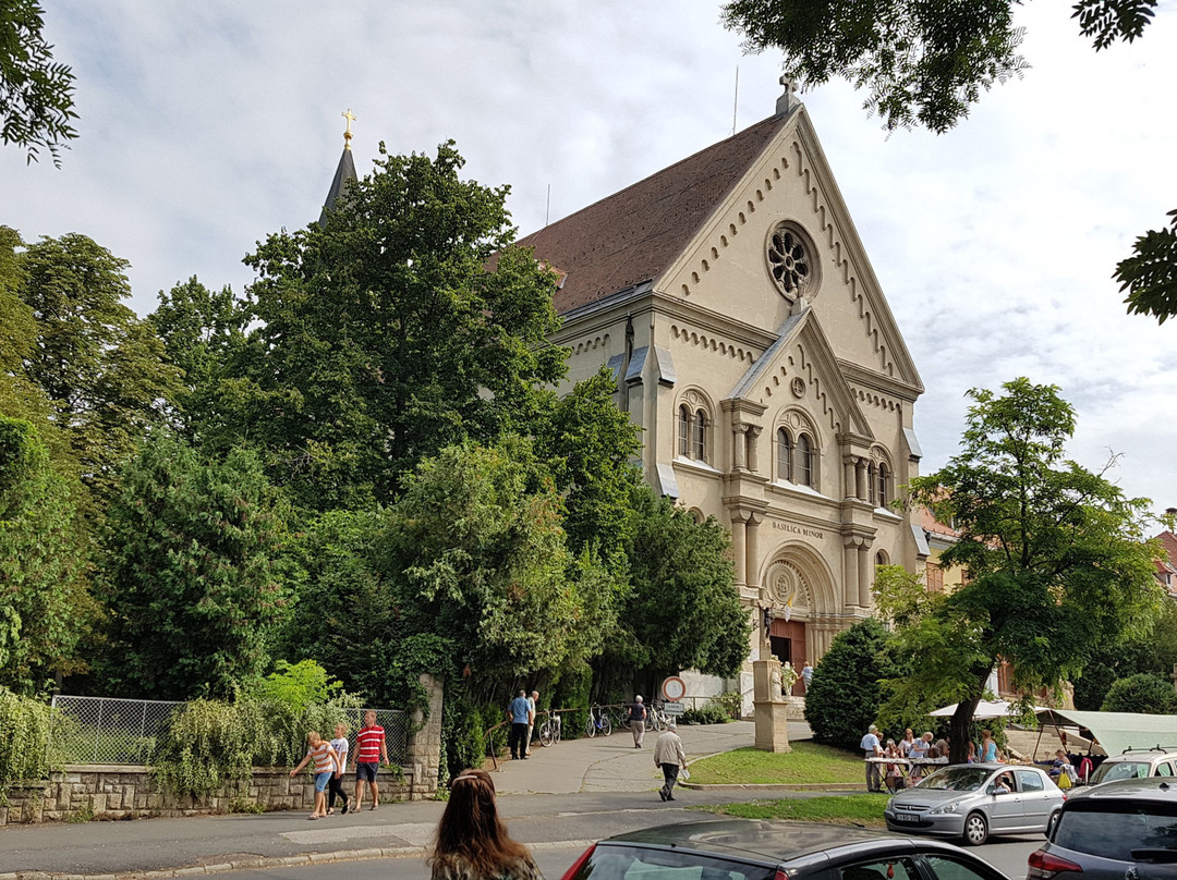 Little Saint Teresa Carmelite Basilica景点图片