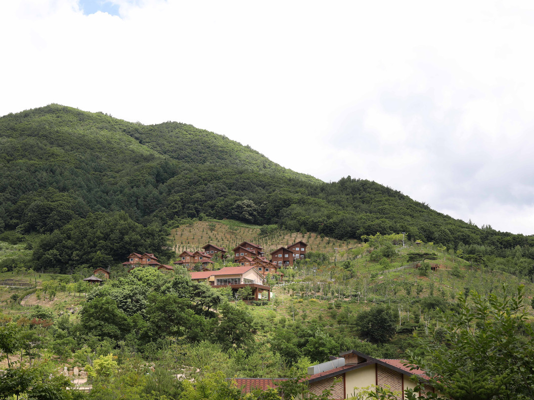 National Center for Forest Therapy-荣州市必去景点
