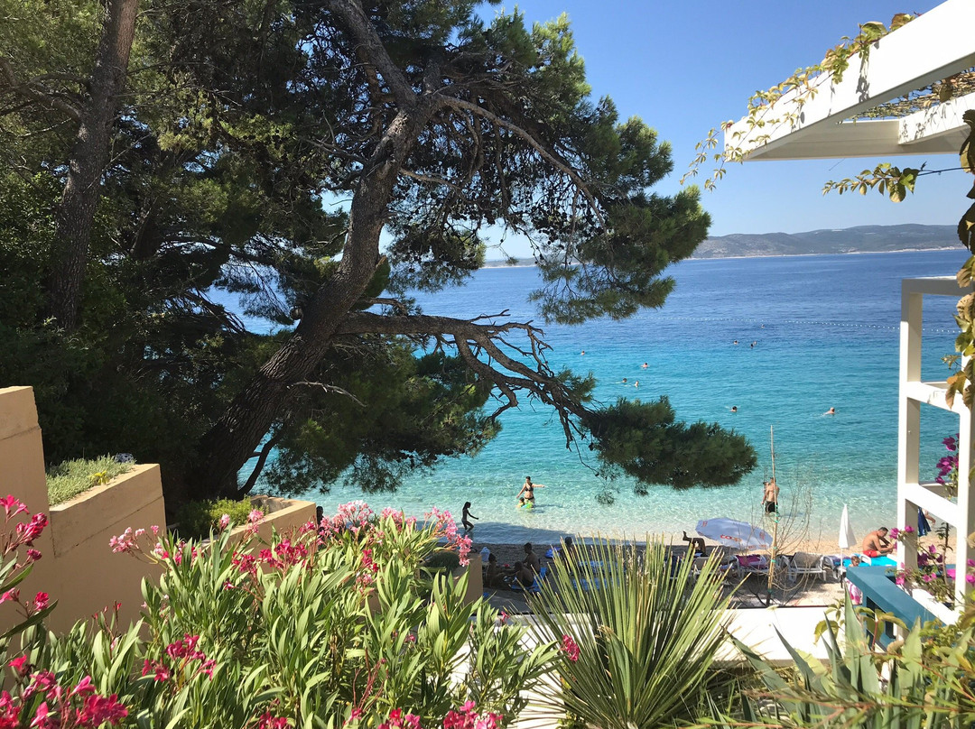 Apartments Villa Loznica主图