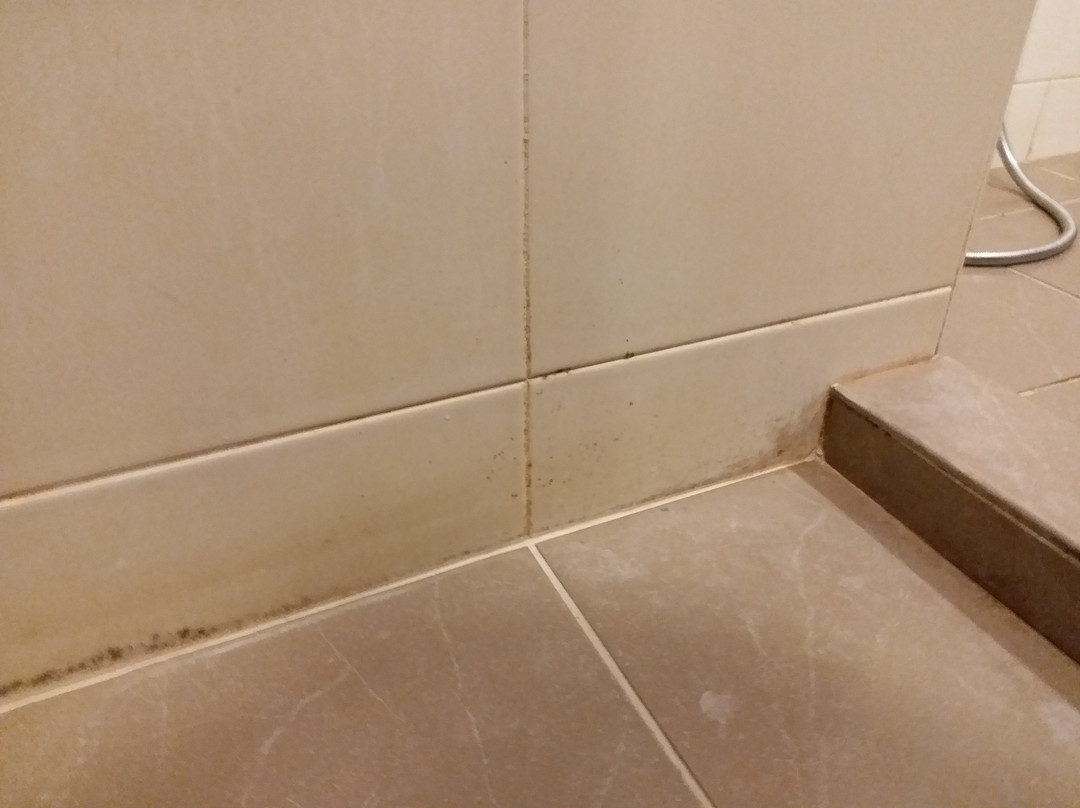 车仁珍山会议温泉度假酒店主图