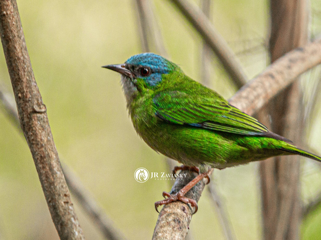 Beach Hotel Cambury主图