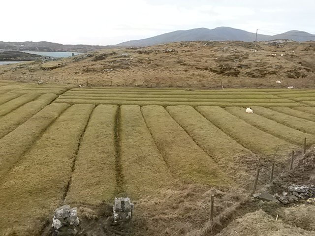 Harris Scenic Tours景点图片
