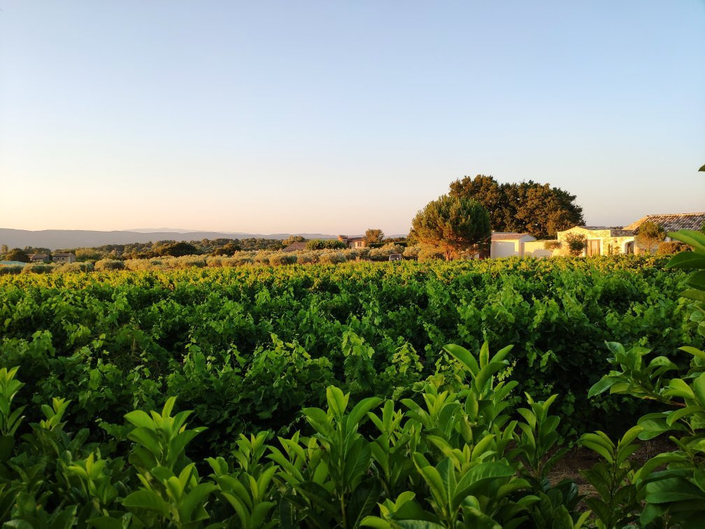 Le Jardin D'ivana主图