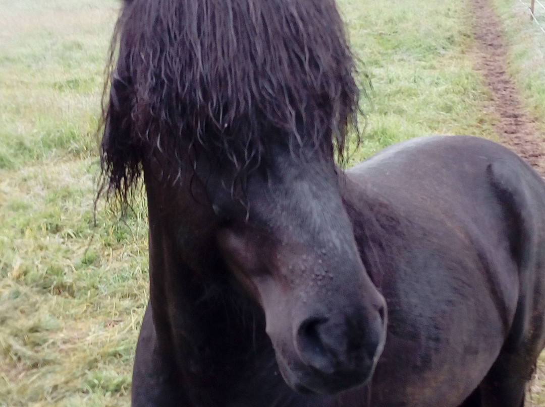 Elding Apartments主图