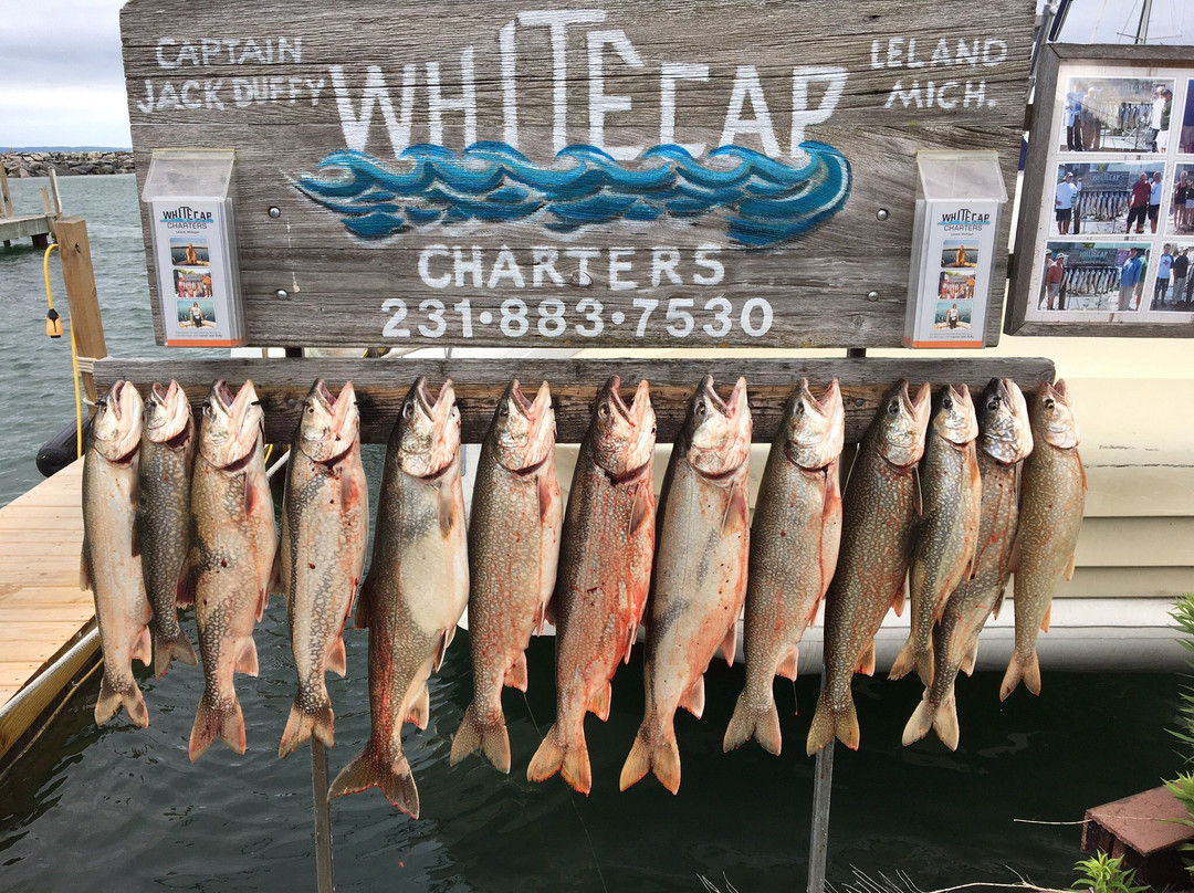 Whitecap Charters Fishing景点图片