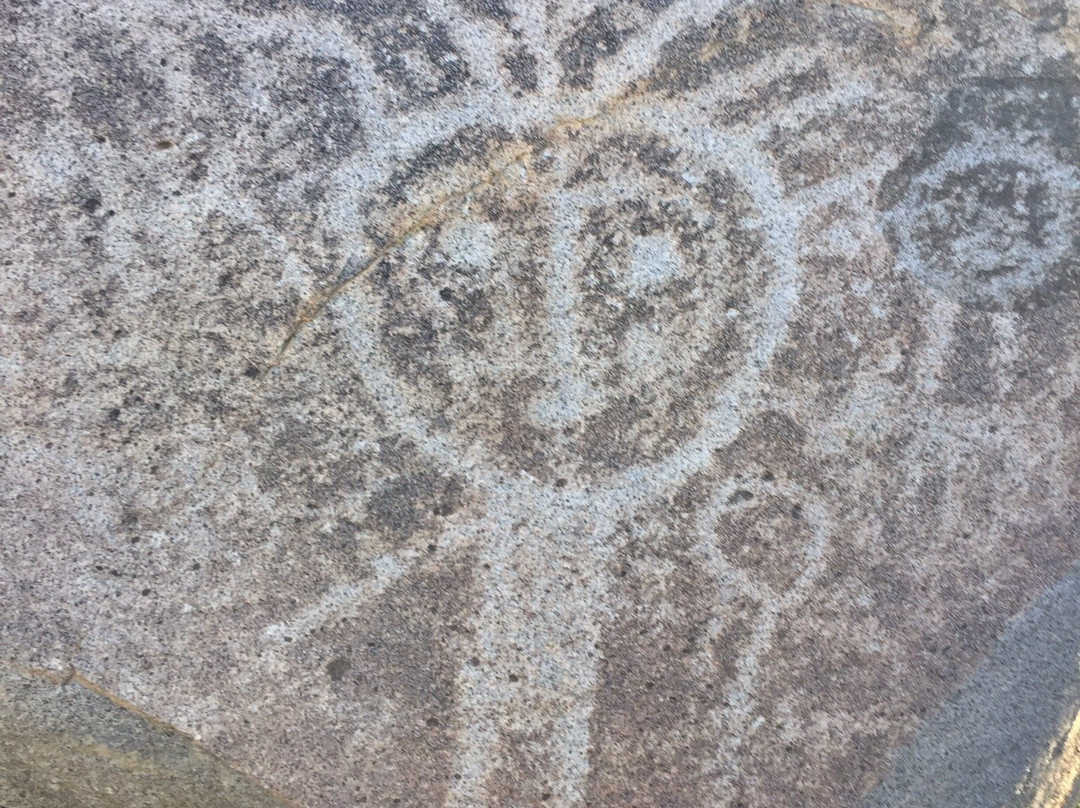 Parque Rupestre Monte Aranda-Los Vilos必去景点