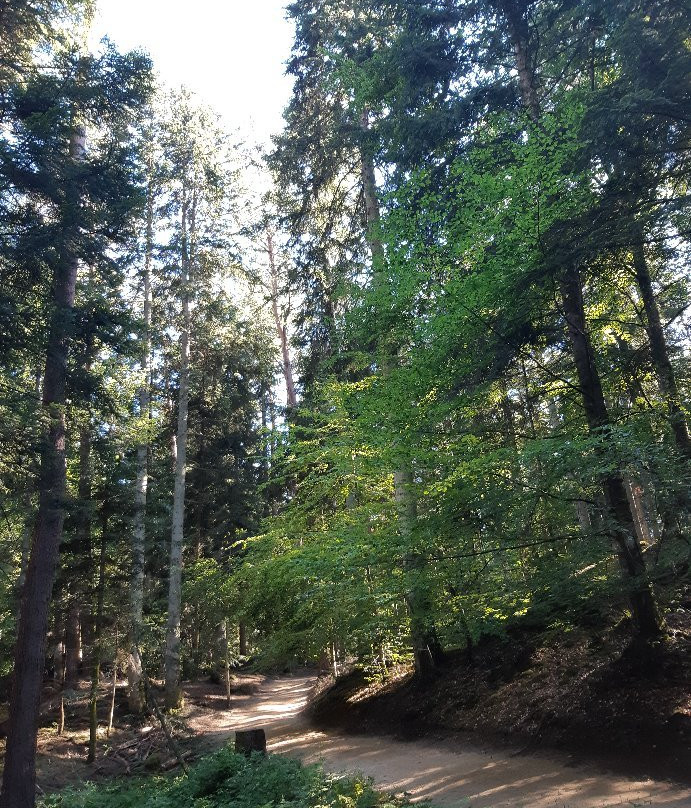 Les Anes d'Alexandre et Sylvain-Aydat必去景点