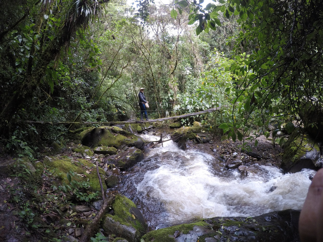 Reserva Natural Acaime景点图片