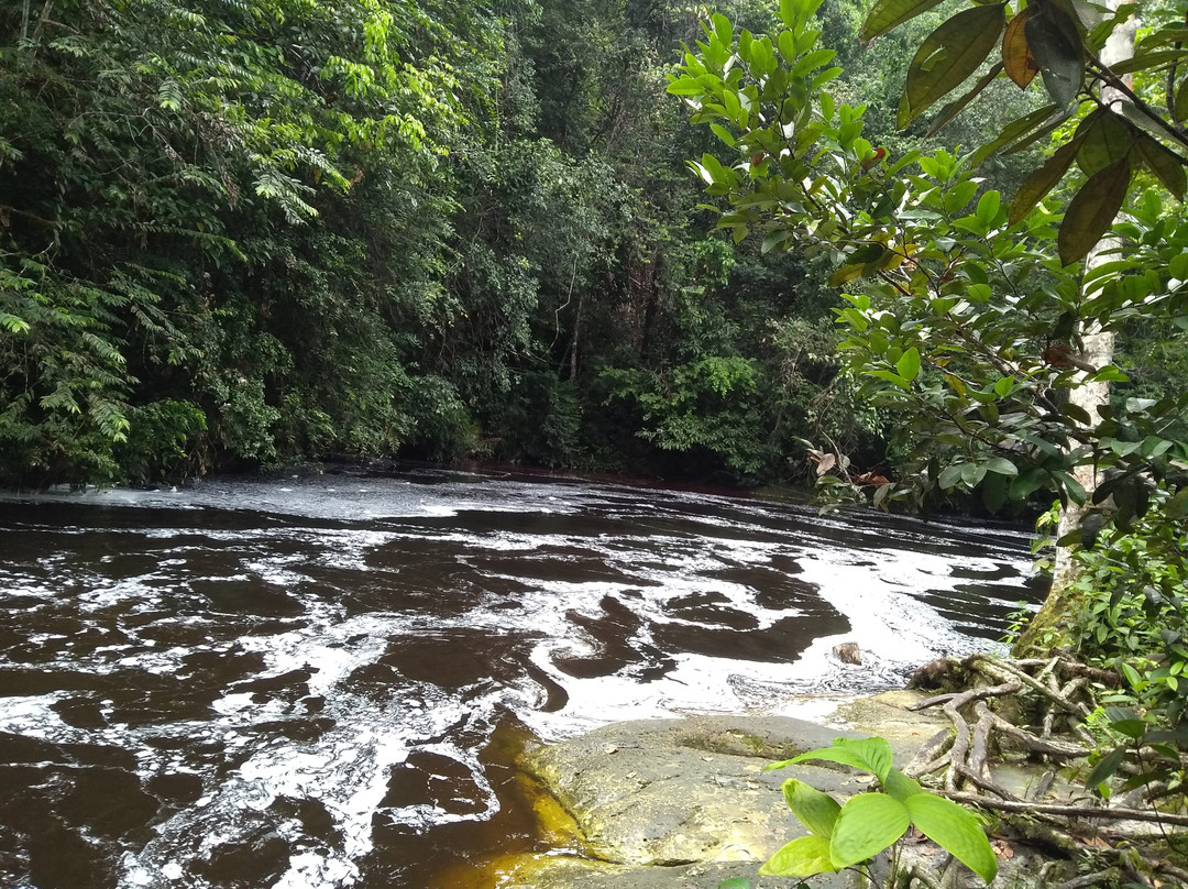Cachoeira do Santuário景点图片