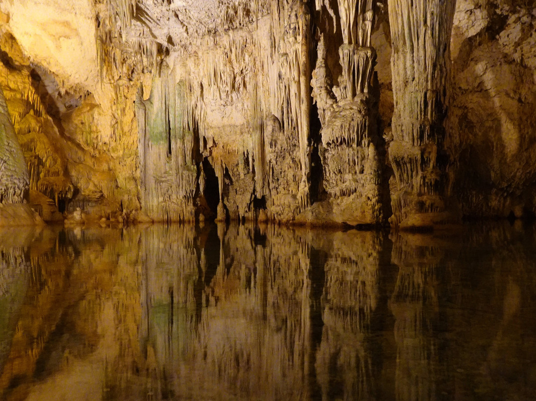 Frecce delle Grotte S.R.L-阿尔盖罗必去景点