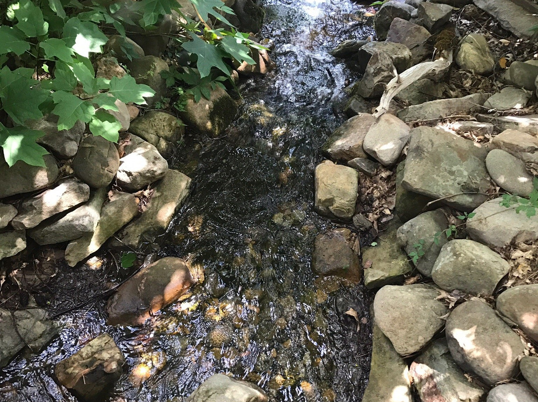 Unicoi Hill Park-海伦必去景点