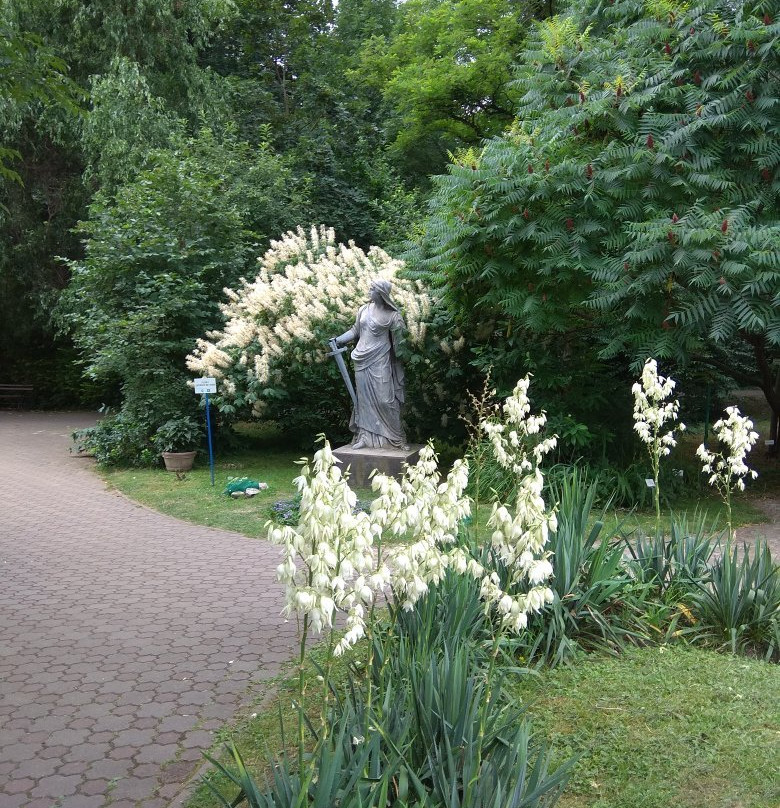 Grădina Botanică "Alexandru Borza"景点图片