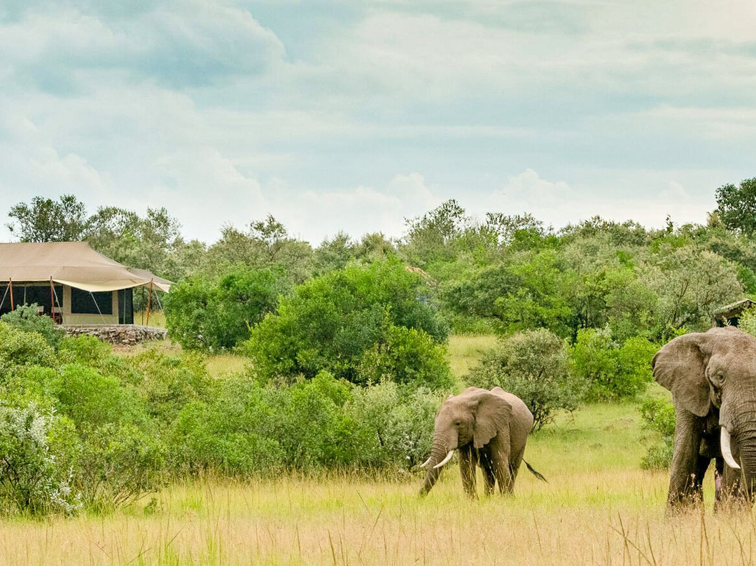 Mattikoko Safari Camp