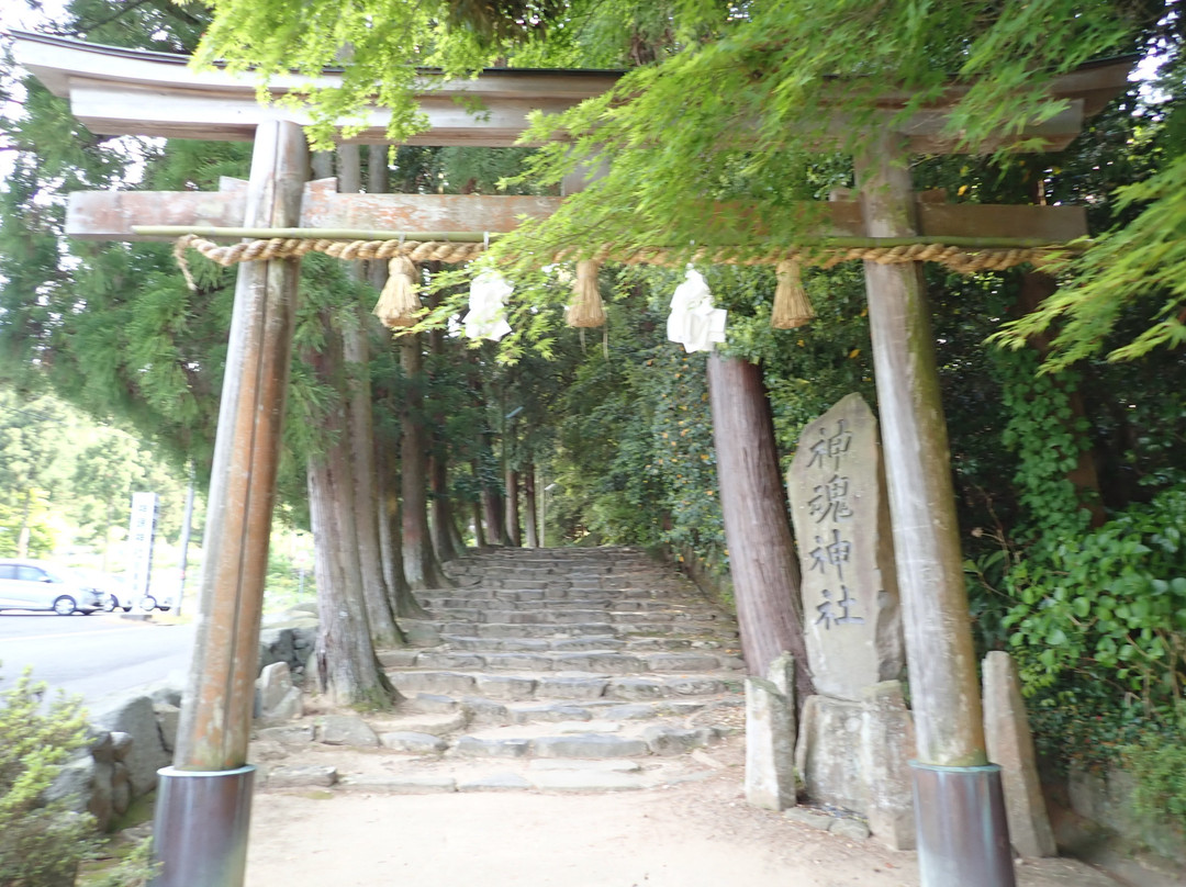 Kamosu Shrine景点图片