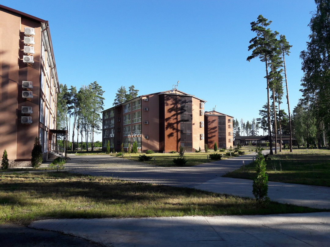 Goritsy Hotel&Resort主图