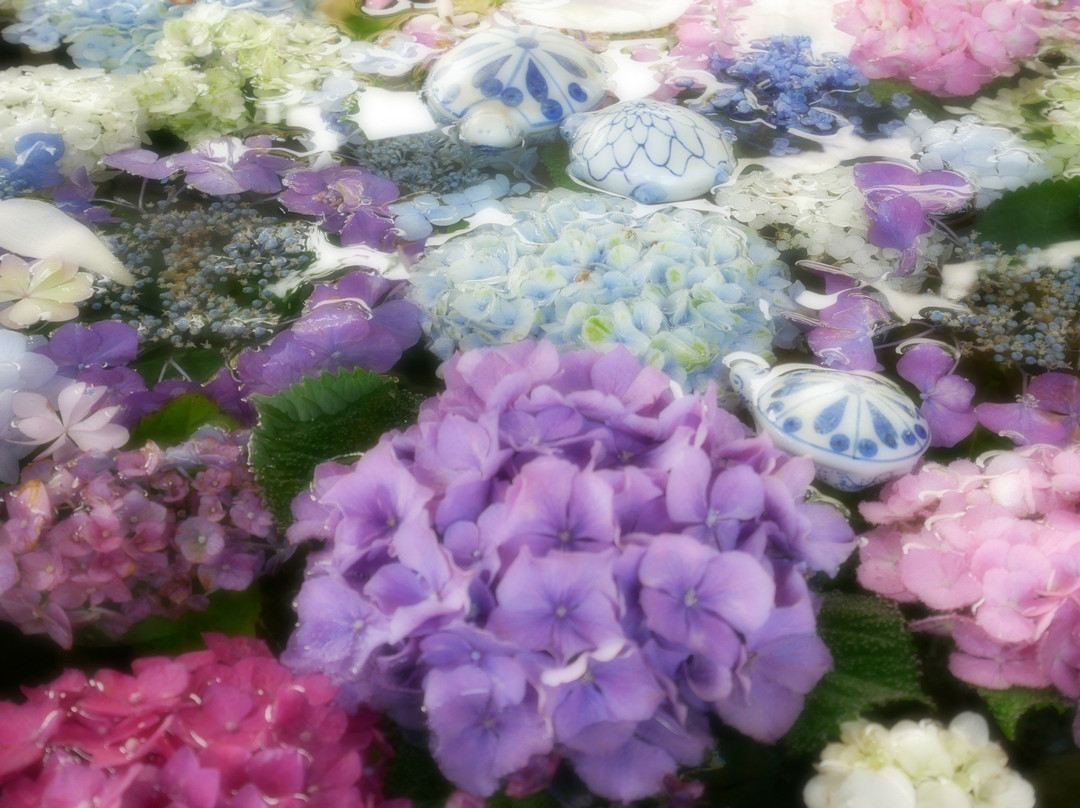 Jonen-ji Temple-一宫市必去景点