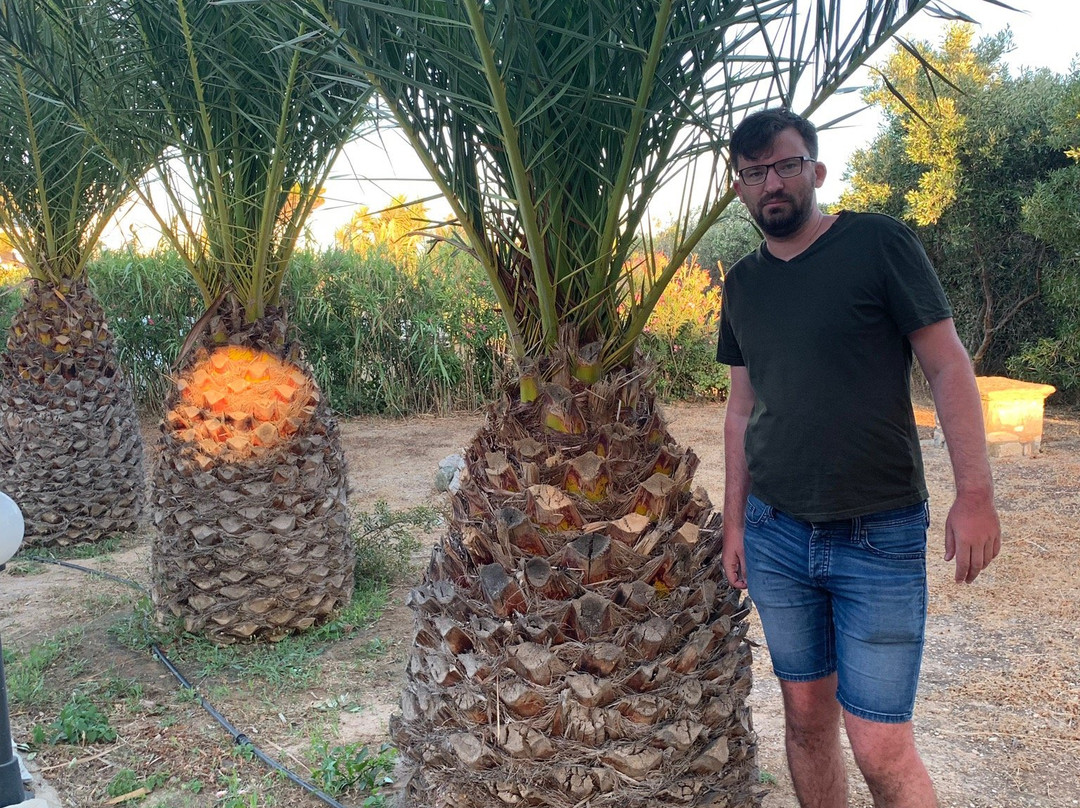 Nissiotiko Hotel主图