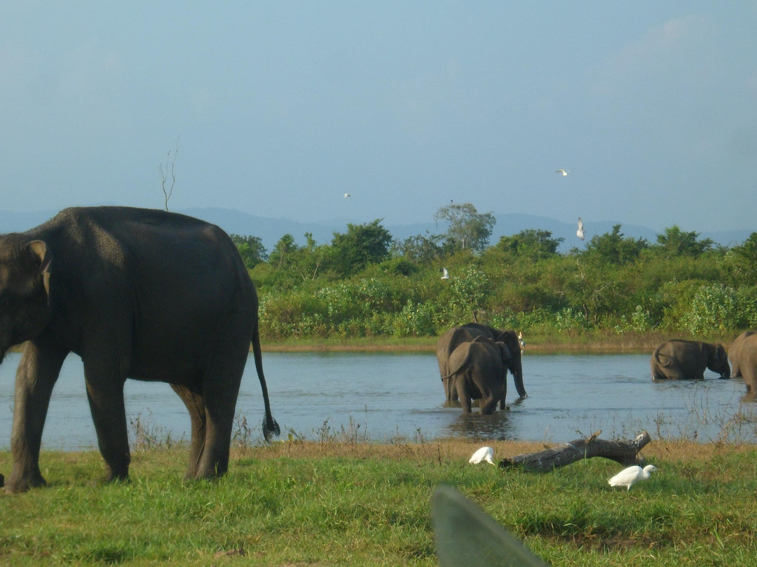 Ceylon Leisure Tours-科伦坡必去景点