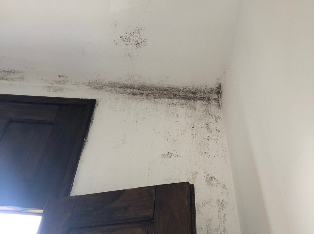 Hotel da Penha主图