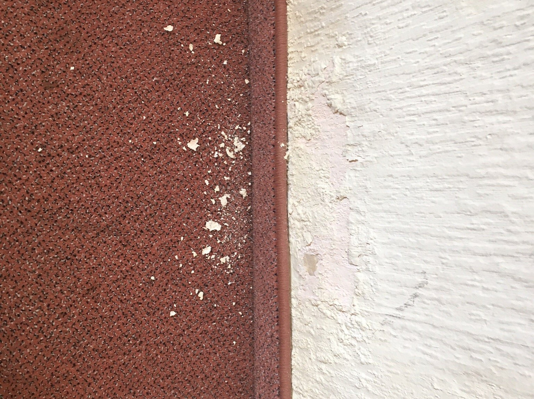 Das Stadthaus主图