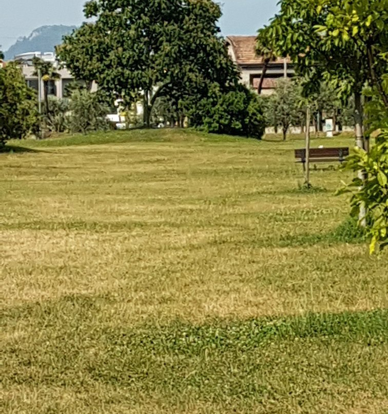 Parco Dell'Ora景点图片