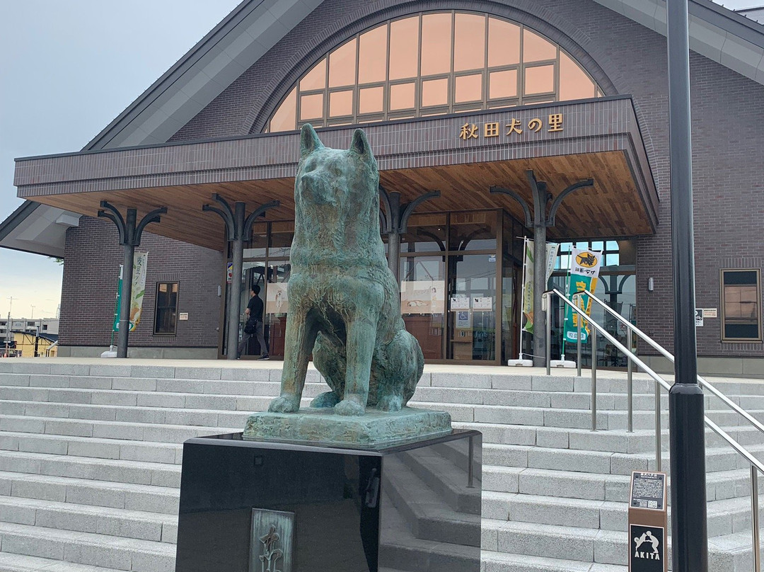 Odate Hachiko-大馆市必去景点