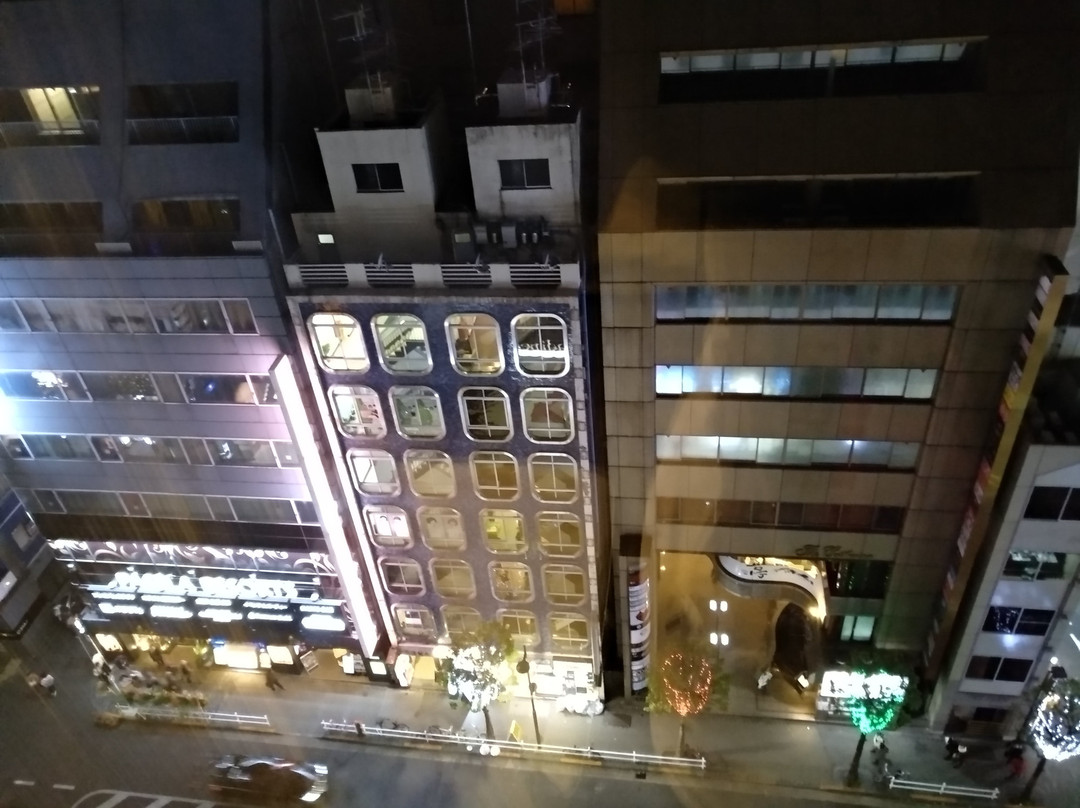 馨乐庭中央东京新宿区酒店主图