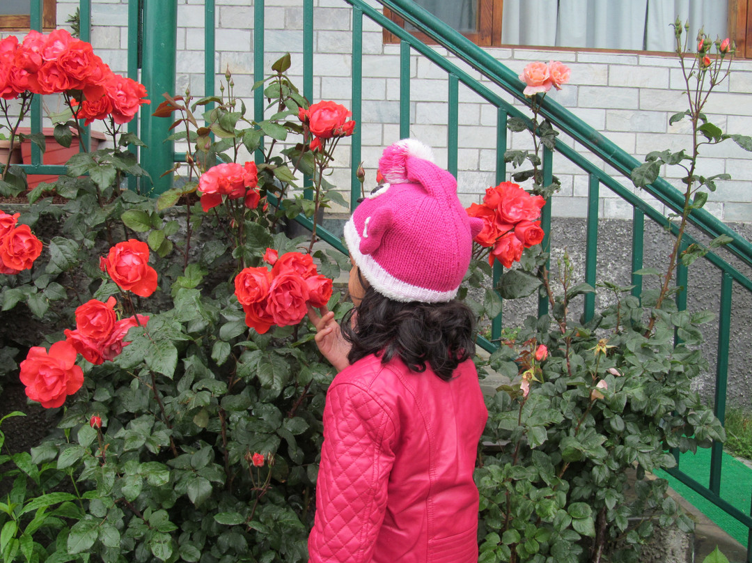 Clifftop - Boutique Homestay主图