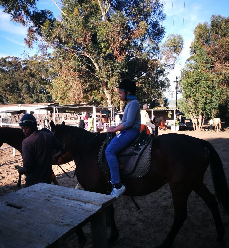 Mountain View Horse Trails-开普敦中心区必去景点