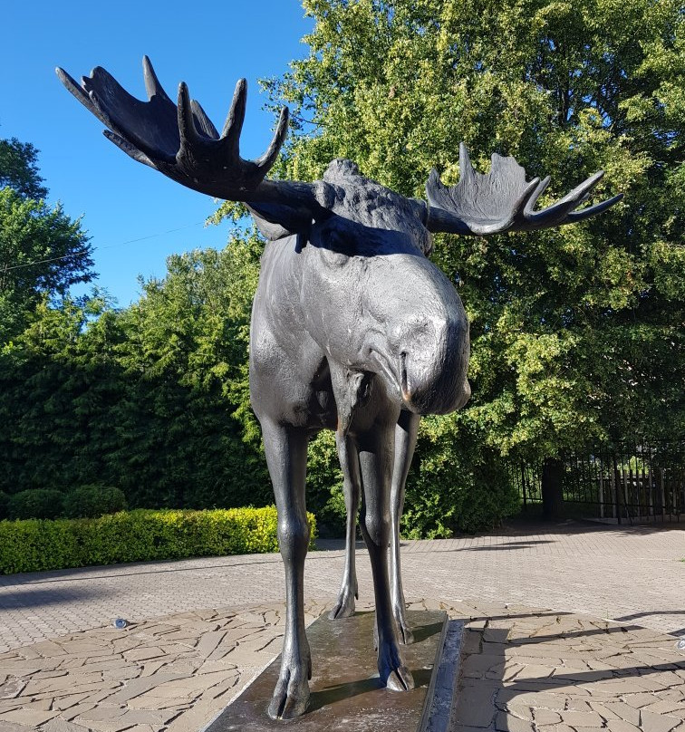 Moose Sculpture景点图片