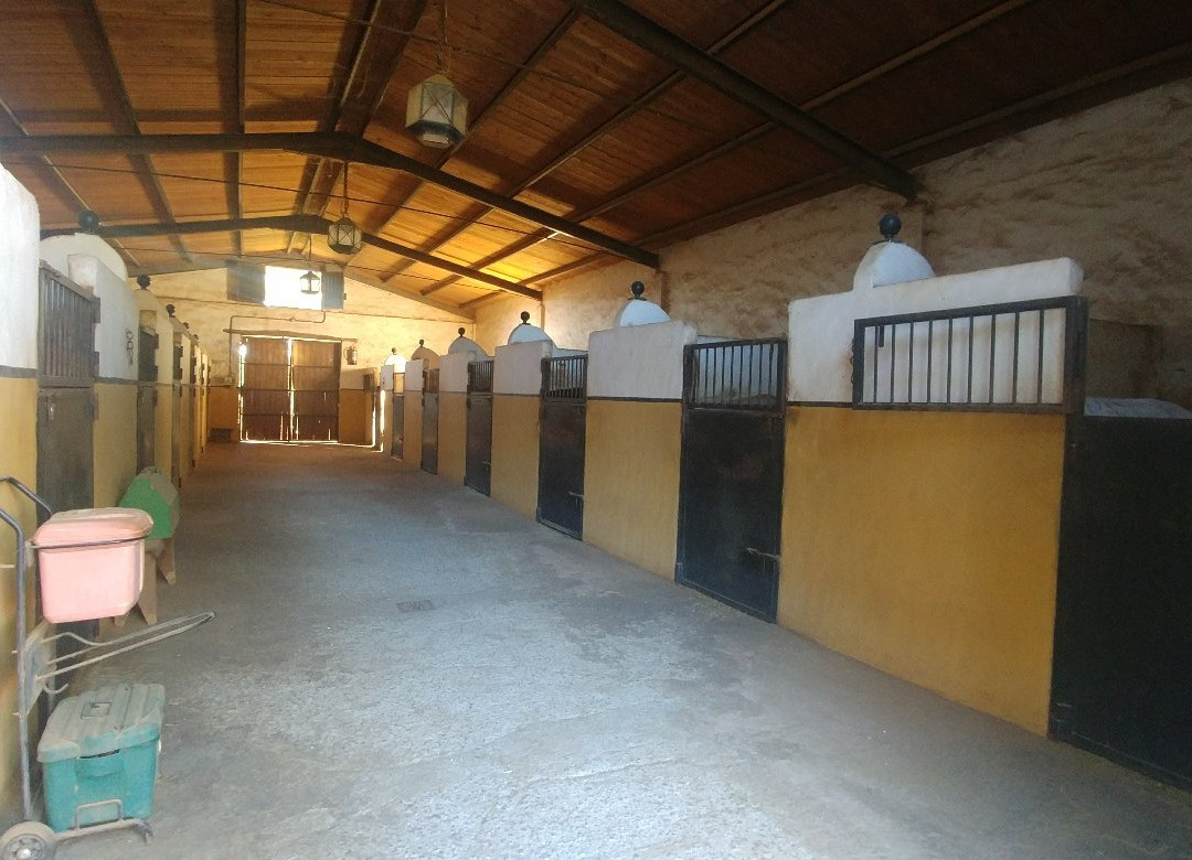 Centro Ecuestre San Mateo景点图片
