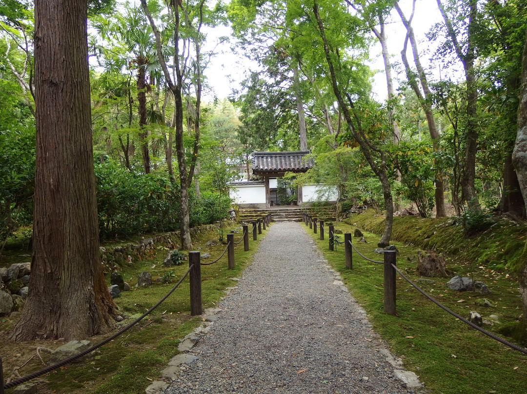 地藏院景点图片