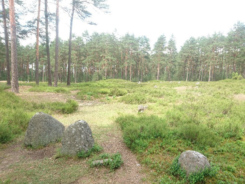Rezerwat przyrody Kręgi Kamienne景点图片