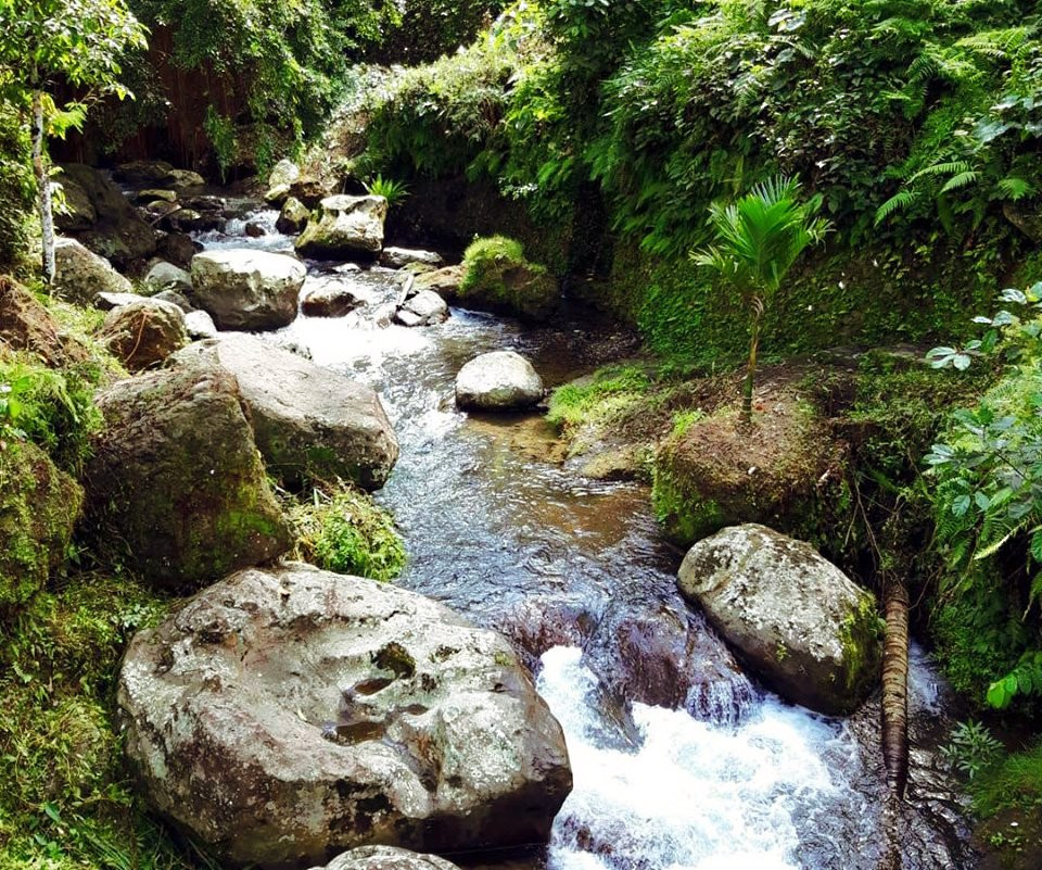 Subak Pulagan-坦帕克西林必去景点