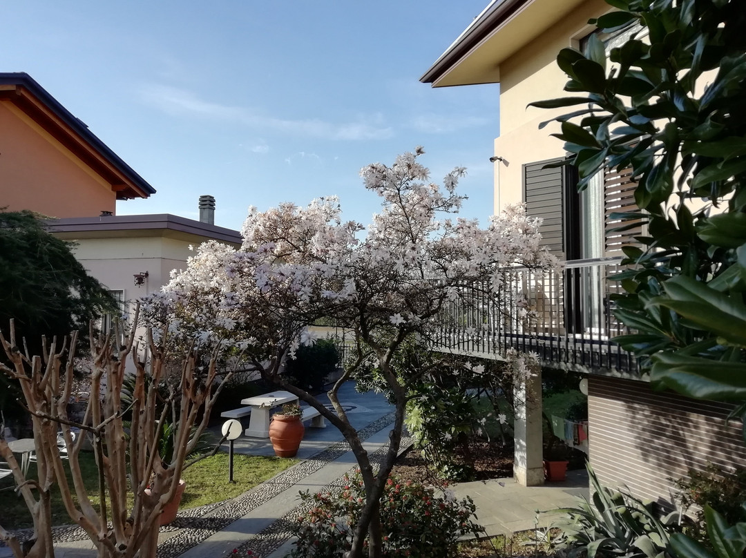 B&B Boutique Villa Terry主图