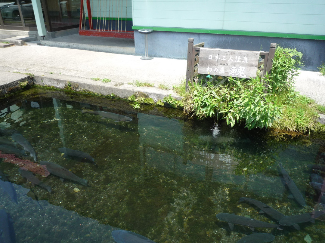 Kojohama Saito Fishing Pond-白老町必去景点
