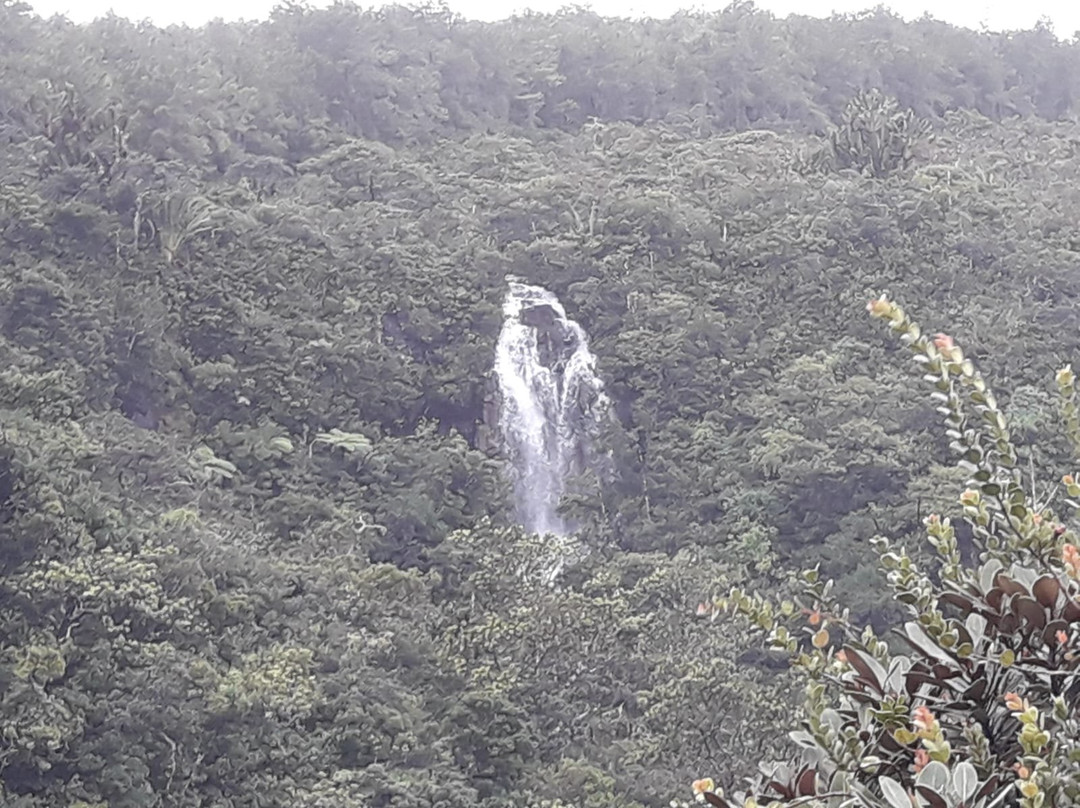 Chamarel Waterfalls景点图片
