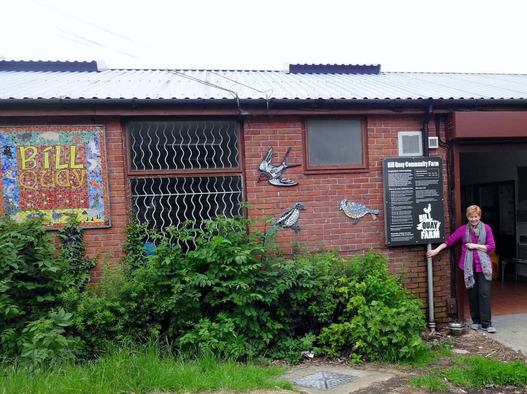 Bill Quay Community Farm-盖茨黑德必去景点