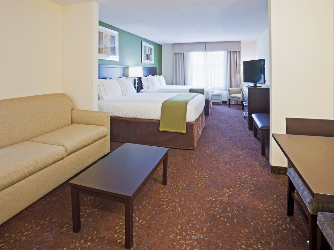 Holiday Inn Express & Suites Rochester Mayo Clinic Area by IHG主图