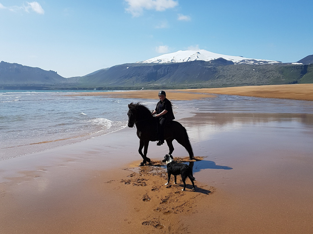 Stori Kambur Horse Rental-Snaefellsbaer必去景点