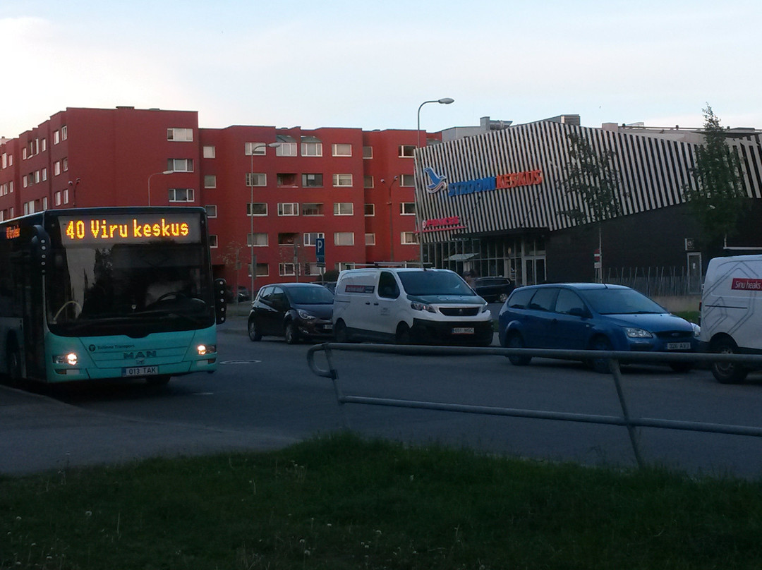 斯图米酒店主图