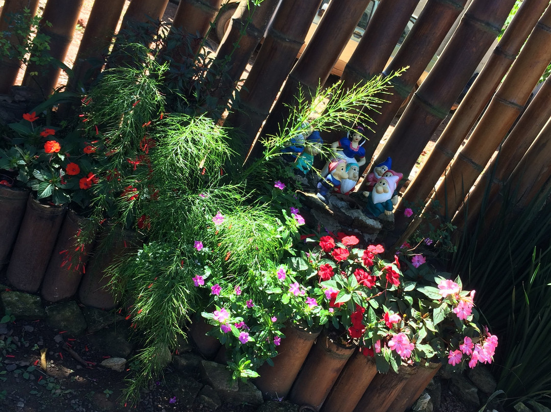 Pousada do Canario主图